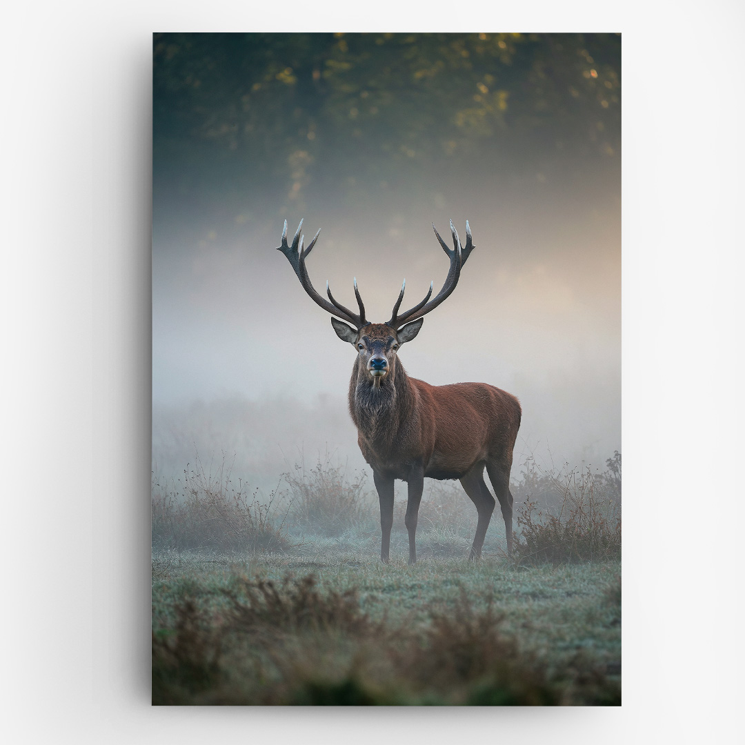 Tablou Canvas Decorativ Majestic Deer