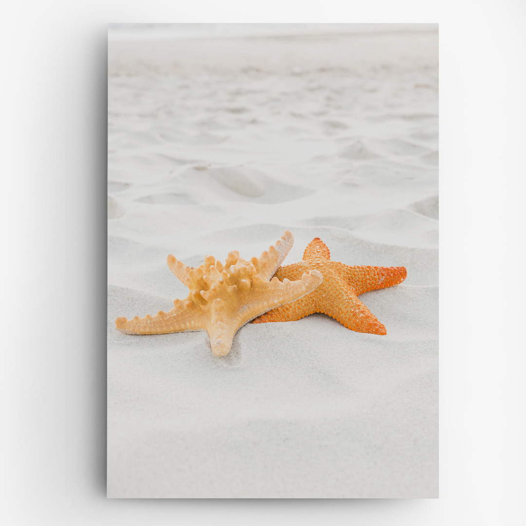 Tablou Canvas Decorativ StarFish